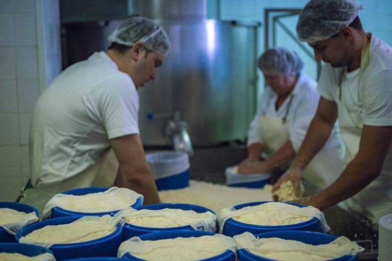 Elaboración de Queso Artesanal | Finca La Granja