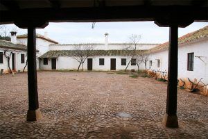 Visita Guiada 12-10-2026 - Imagen 4